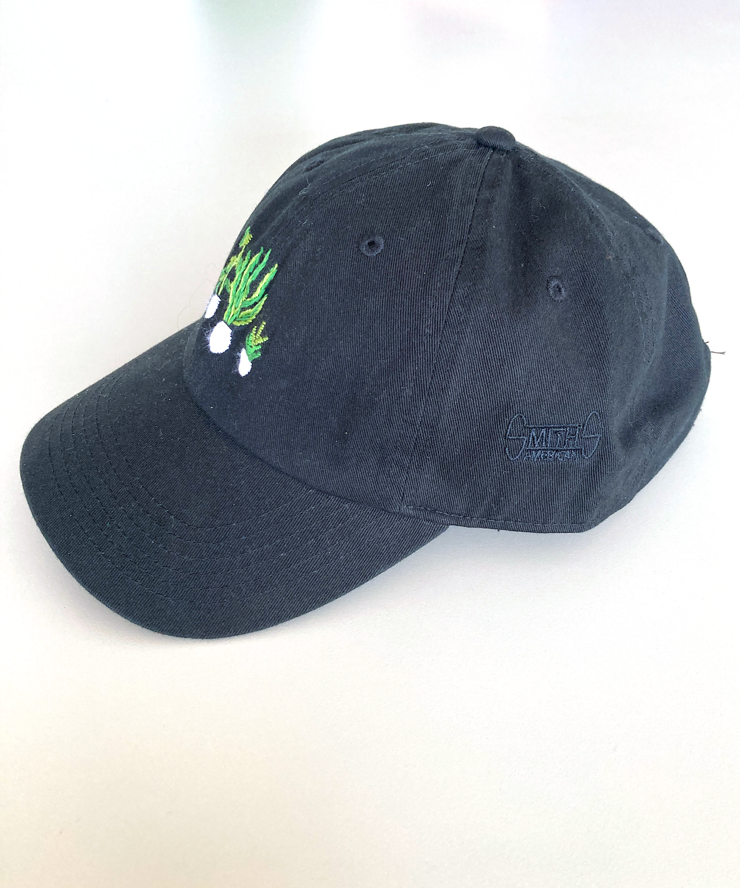 x good walkin baseball cap (Plants)