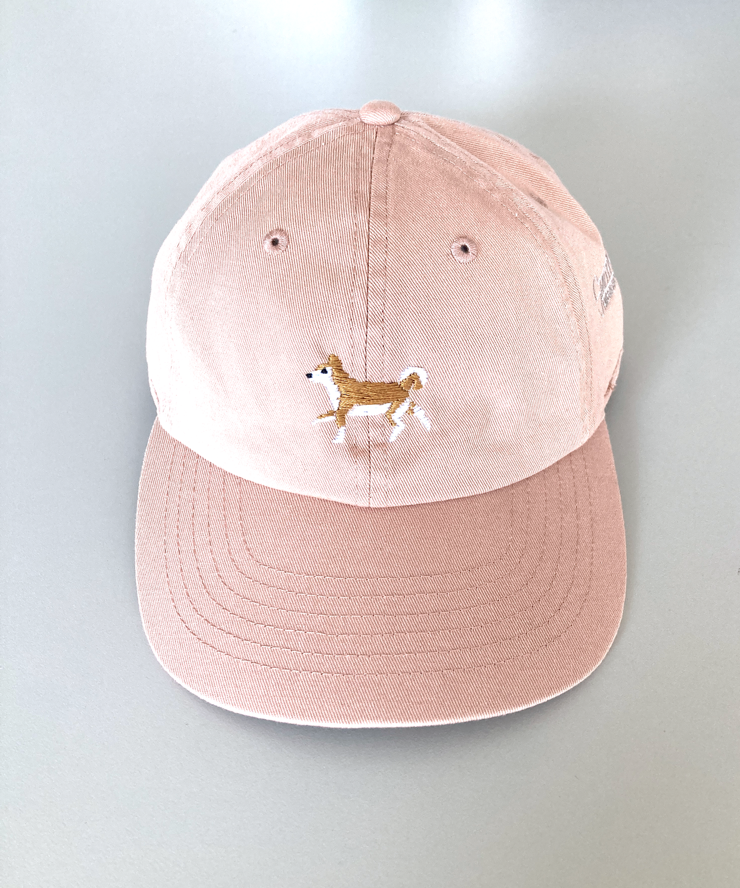 x good walkin baseball cap (柴犬)