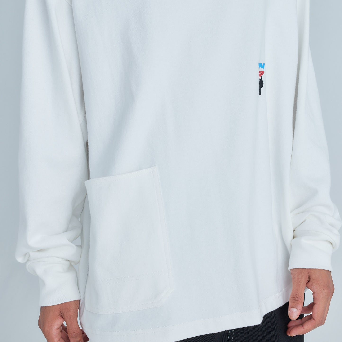 Painted LS